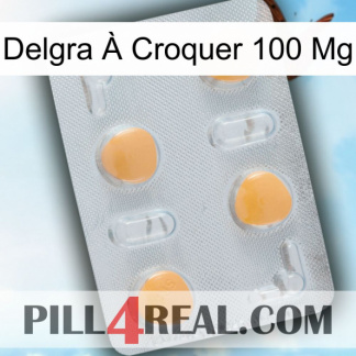 Delgra À Croquer 100 Mg 24